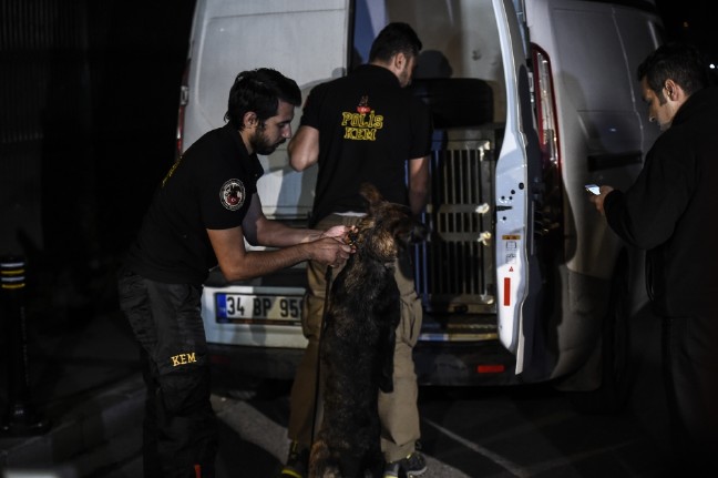 18-10/17/5ed8885b7270ed63178d5e0f9db7dacf-1539802289