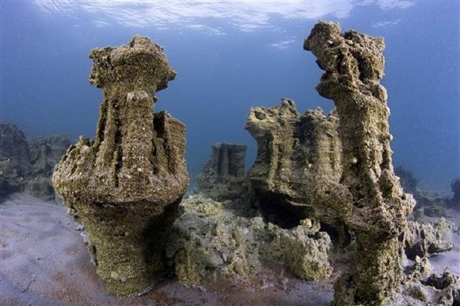 18-10/20/5bcb17a2c03c0e22ec9e4ab7