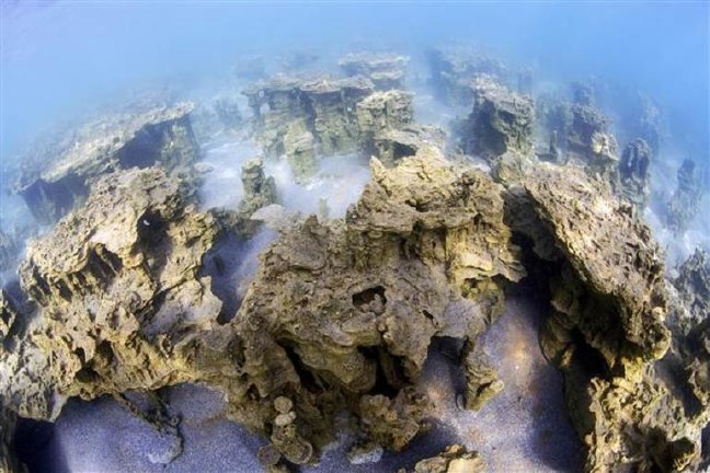 18-10/20/5bcb17b0c03c0e22ec9e4ab9