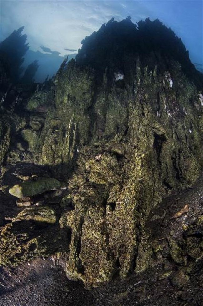 18-10/20/5bcb17bbc03c0e22ec9e4abb