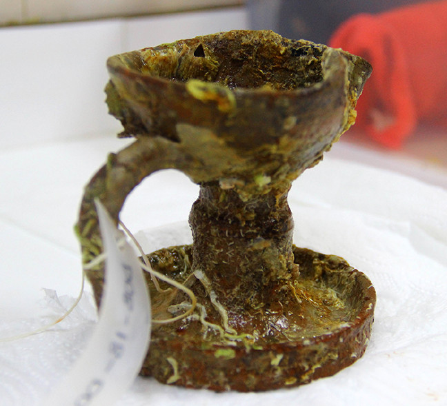 18-10/23/aw524608_04-1540291204