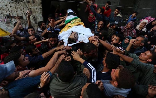 18-11/08/20181108_2_33327017_38846699