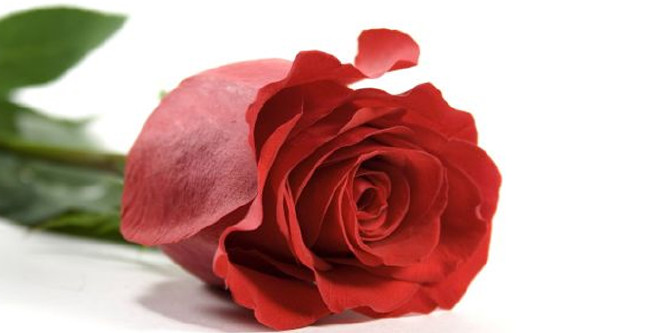 18-11/12/mevlid-kandilinde-ne-oldu