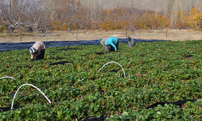 18-11/14/aw543745_04