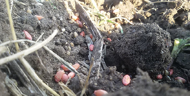 18-11/14/aw544122_01