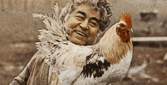 18-11/15/hadi-aziz-nesin