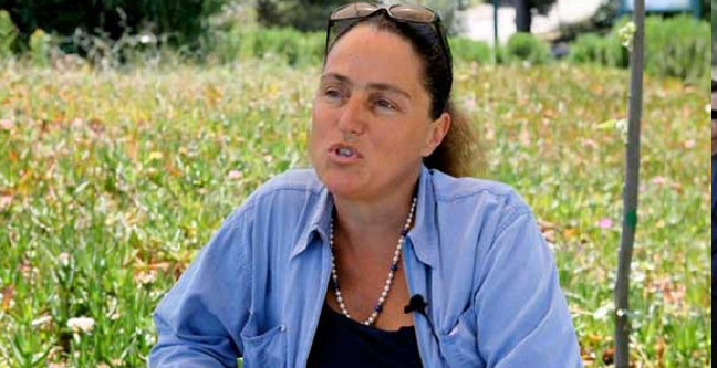 18-11/16/betul-tanbay-kimdir