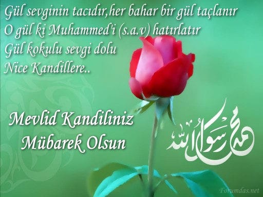 18-11/18/c395df884e38057f7caf619b230f7757