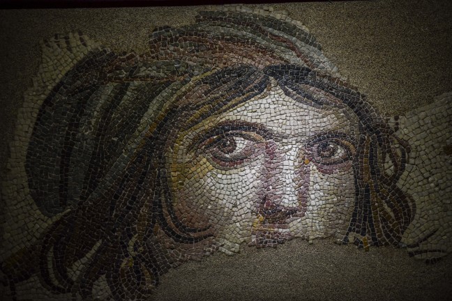 18-11/21/20181109_2_33333189_38856991