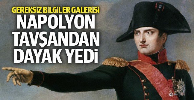 18-11/30/napolyon-1543589300-1543603077