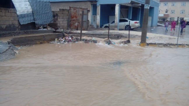 18-12/01/313502b6-62b7-4cb3-a65e-bade6dba489a