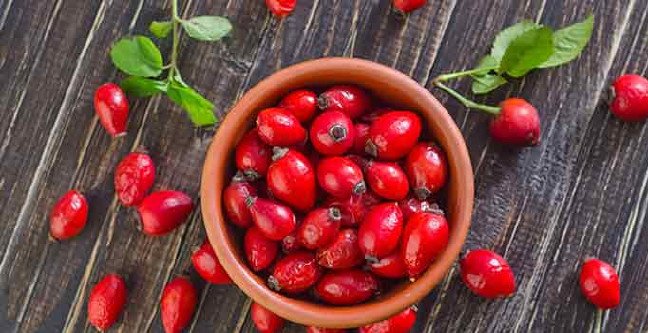 18-12/01/kusburnu-faydalari