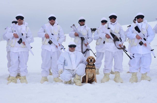 18-12/03/20181203_2_33728518_39548021