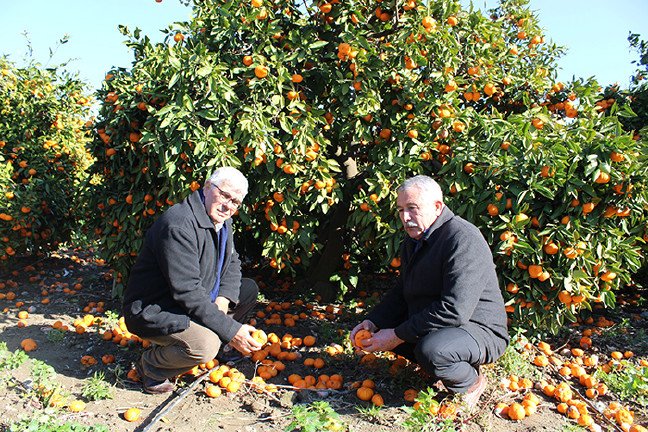 18-12/08/aw565135_12