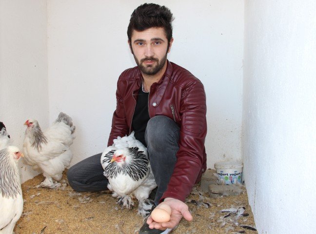 18-12/12/aw568223_01