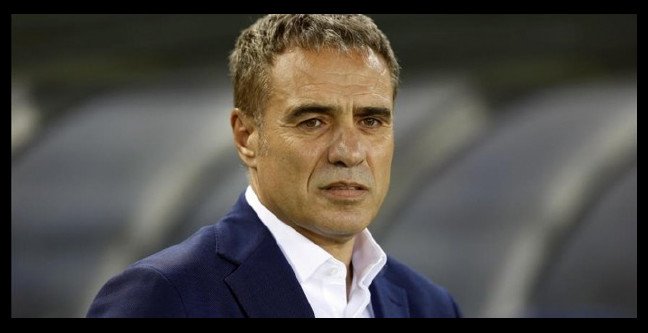 18-12/14/fenerbahce-ersun-yanal