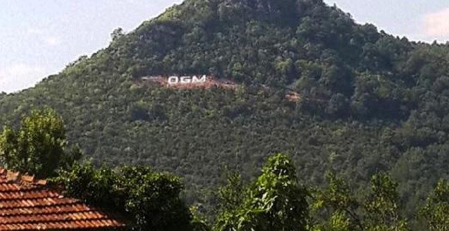 18-12/17/ogm-basvuru-sartlari-nelerdir