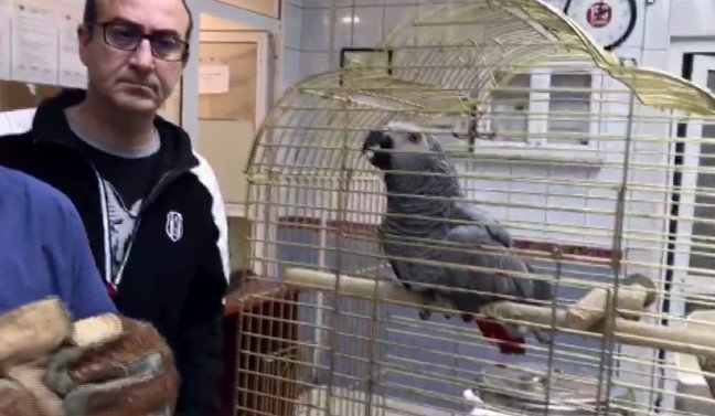 18-12/18/20181218_2_33983543_39990553