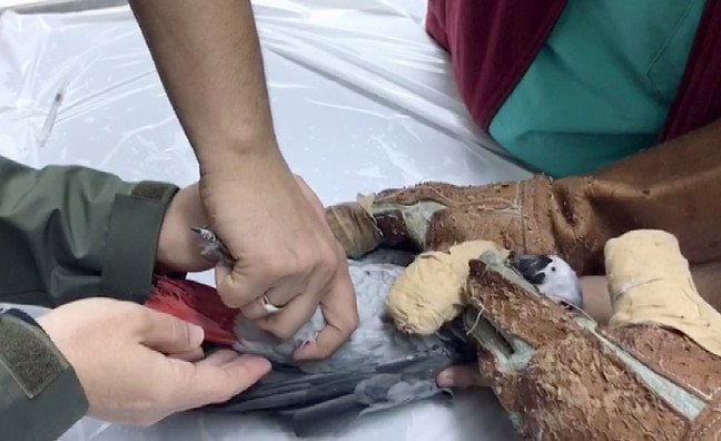 18-12/18/20181218_2_33983543_39990554