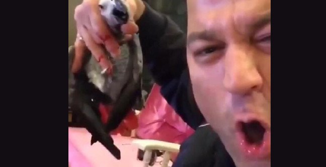 18-12/18/papagana-iskence-eden-murat-ozdemirin-ilk-sozleri