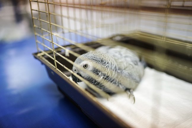 18-12/19/20181219_2_34003155_40020369