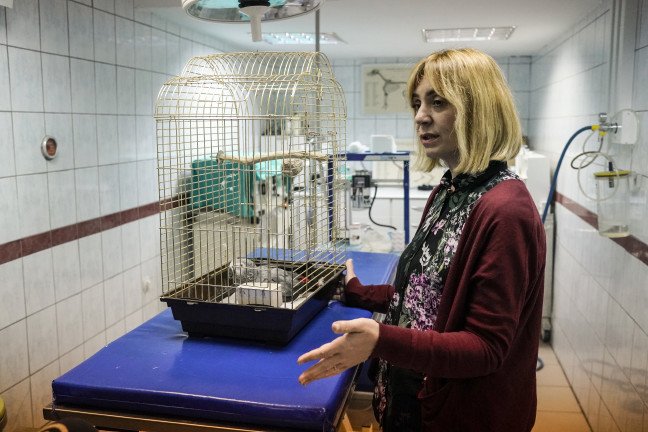 18-12/19/20181219_2_34003155_40020373