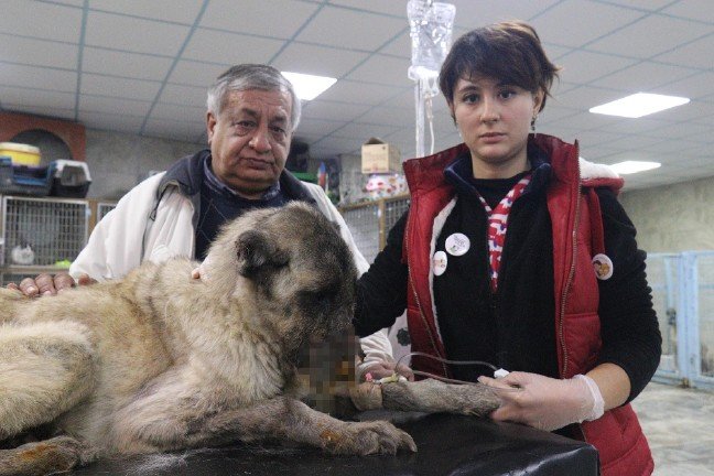 18-12/19/4e4a6eb4-1686-4ea8-82df-276253189da7