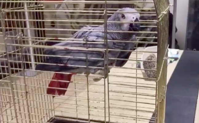 18-12/20/20181219_2_34002206_40018423