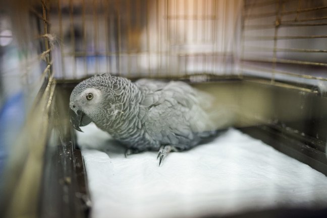 18-12/20/20181219_2_34003155_40020364