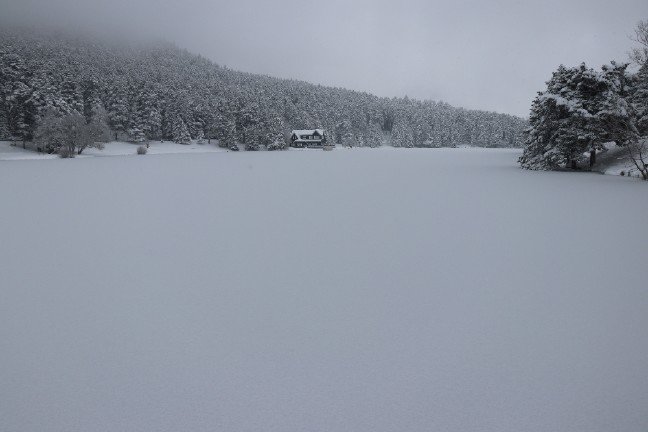 18-12/26/c0bc233b-1085-48ff-bb91-ff4e00fbc3e9