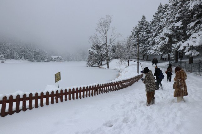 18-12/26/d12795fb-7b26-469d-8ae4-fc28af4054b9