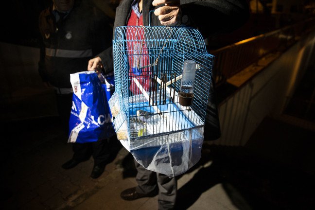 18-12/29/20181229_2_34170918_40291587