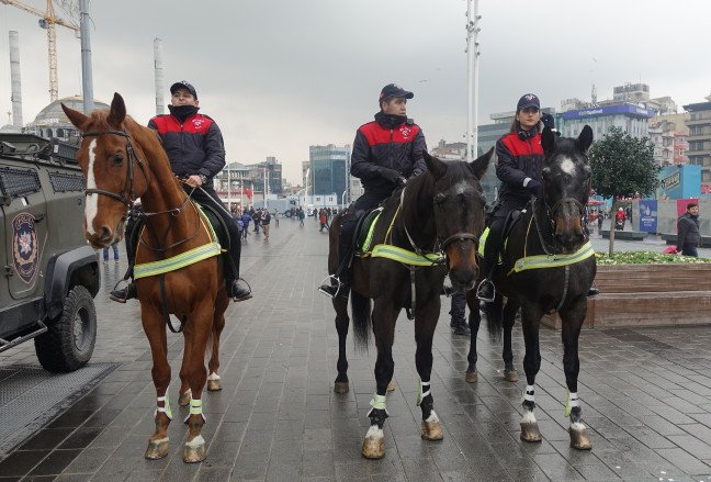 18-12/29/20181229_2_34176473_40301056-1546087492