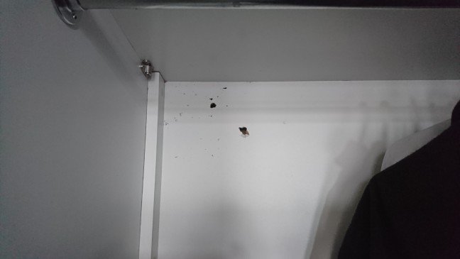 18-12/29/aw583152_06