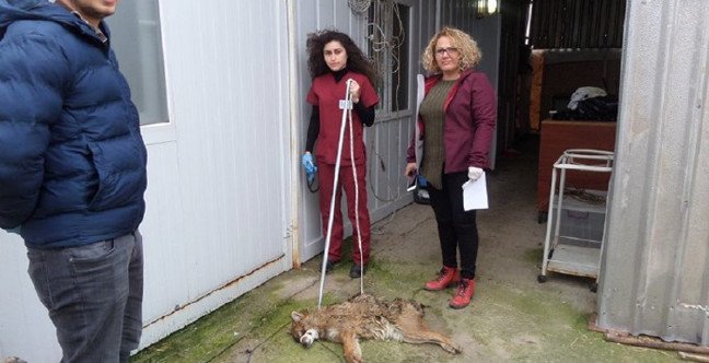 19-01/01/d10b9887-bef3-4ef8-8e91-8119063b0a5c-1546334496