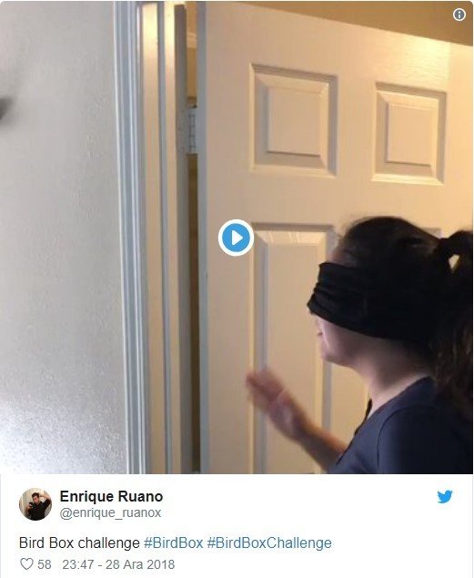 19-01/03/1-1546504573