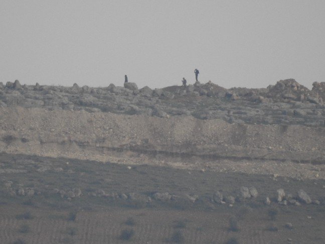 19-01/04/aw587958_02