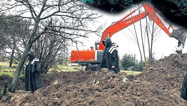 19-01/07/5c330526ae298bbb97826337