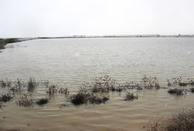 19-01/07/ccde2622-8cd3-4529-a4ca-0d4d25fda1d5