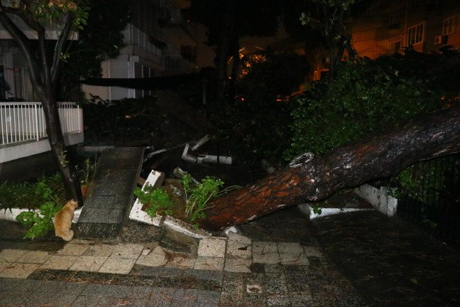 19-01/12/20190112_2_34374982_40658944