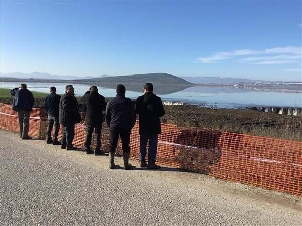 19-01/17/i1-1547740490