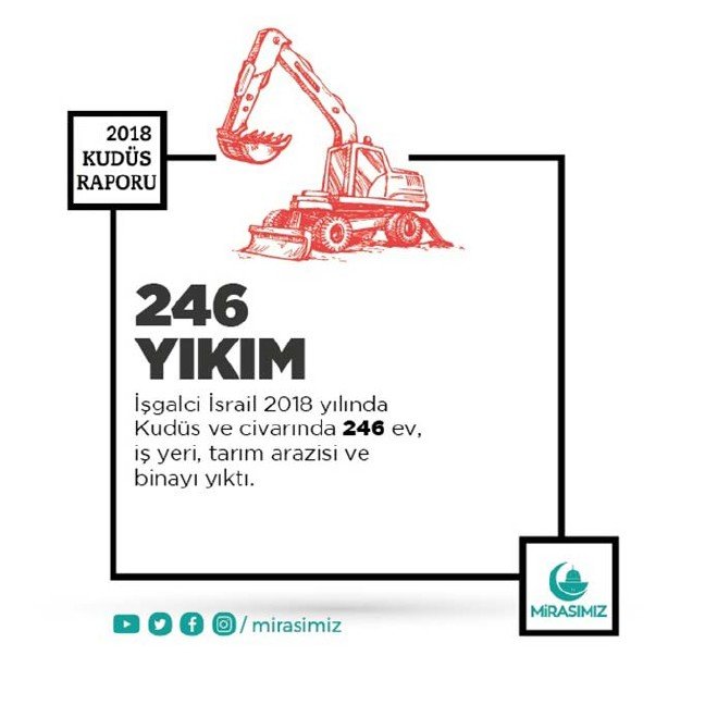 19-01/24/mirasimiz-7