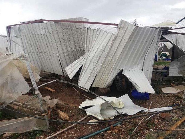 19-01/24/resimid_11351360