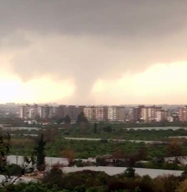 19-01/24/resimid_11351505