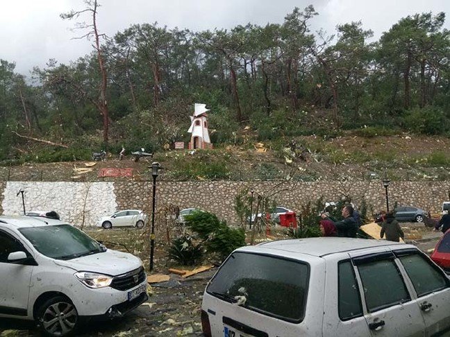 19-01/24/resimid_11351508