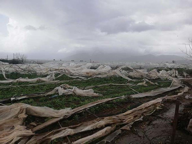 19-01/24/resimid_11351799