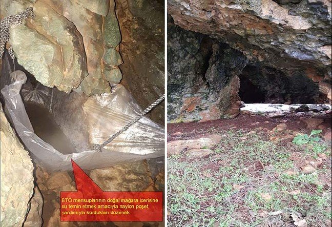 19-01/25/20190125_2_34589567_41055345