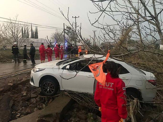 19-01/26/20190126_2_34606666_41087744