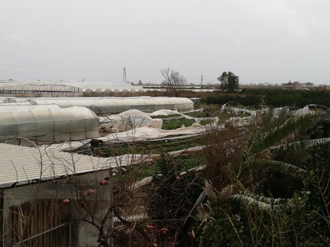 19-01/26/20190126_2_34607400_41088536