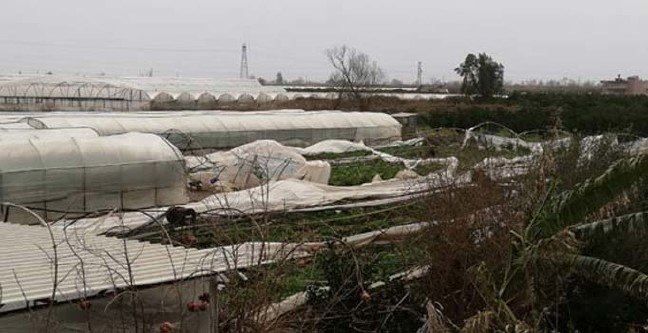 19-01/26/hortum-nedir